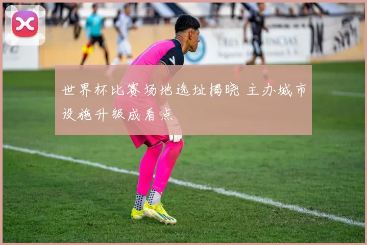 世界杯比赛场地选址揭晓 主办城市设施升级成看点