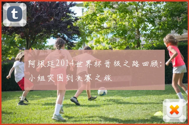 阿根廷2014世界杯晋级之路回顾:小组突围到决赛之旅