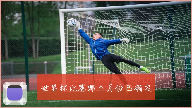 世界杯比赛哪个月份已确定