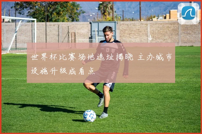 世界杯比赛场地选址揭晓 主办城市设施升级成看点